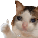TraverseeIII_forICMC/cat.gif